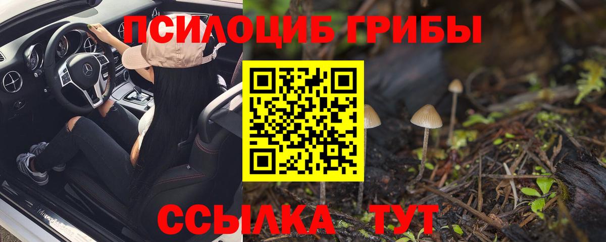 наркота  Галлюциногенные грибы MAGIC MUSHROOMS  Вход с VPN  Мценск 